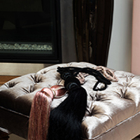 گل میخ شرابه