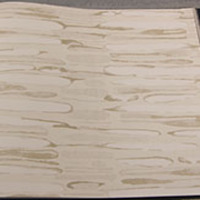 کاغذ دیواری silk road